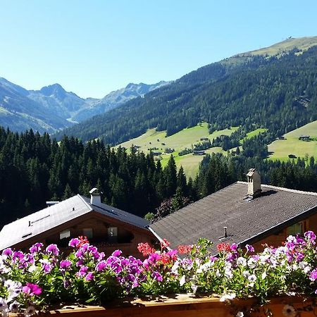 Hanslerfeld Alpbach Extérieur photo