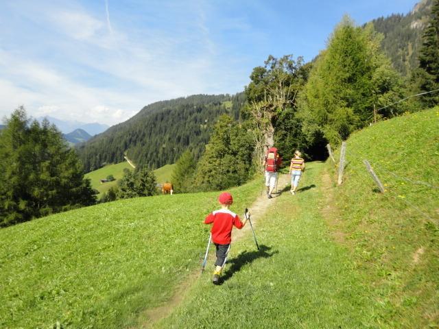 Hanslerfeld Alpbach Chambre photo
