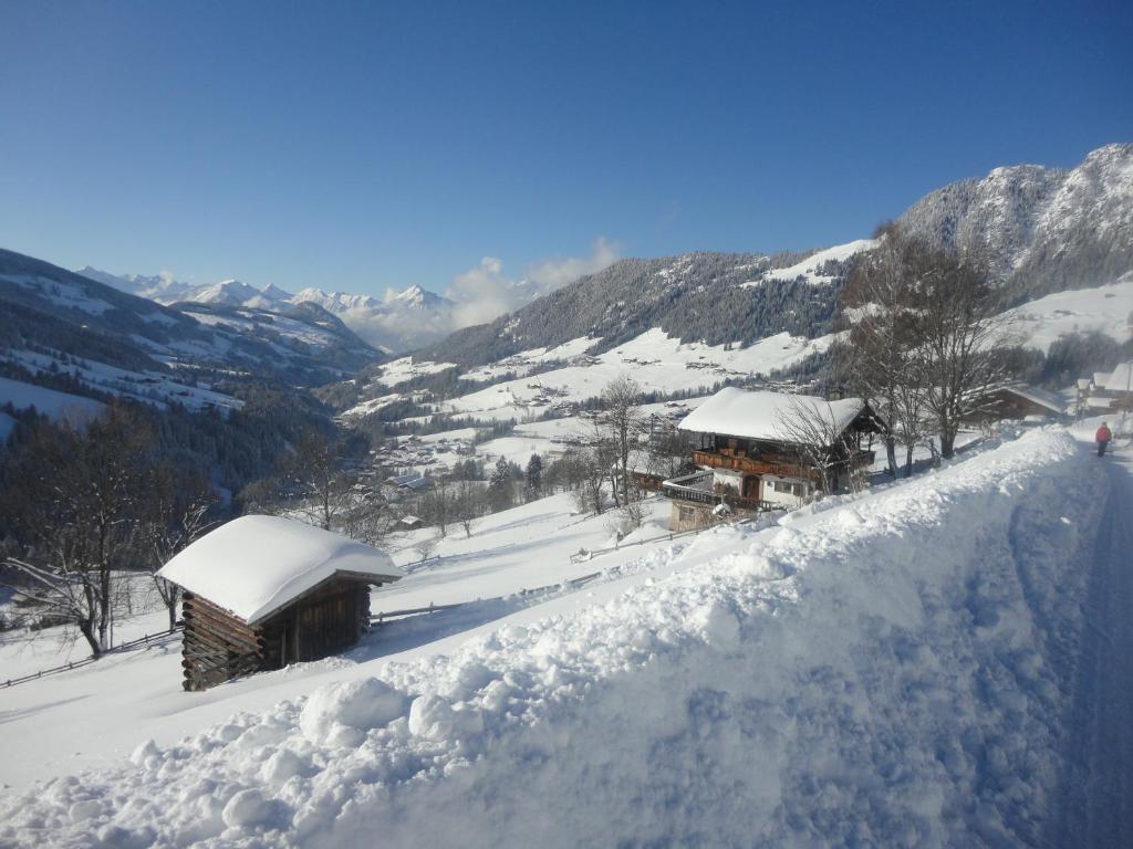 Hanslerfeld Alpbach Extérieur photo