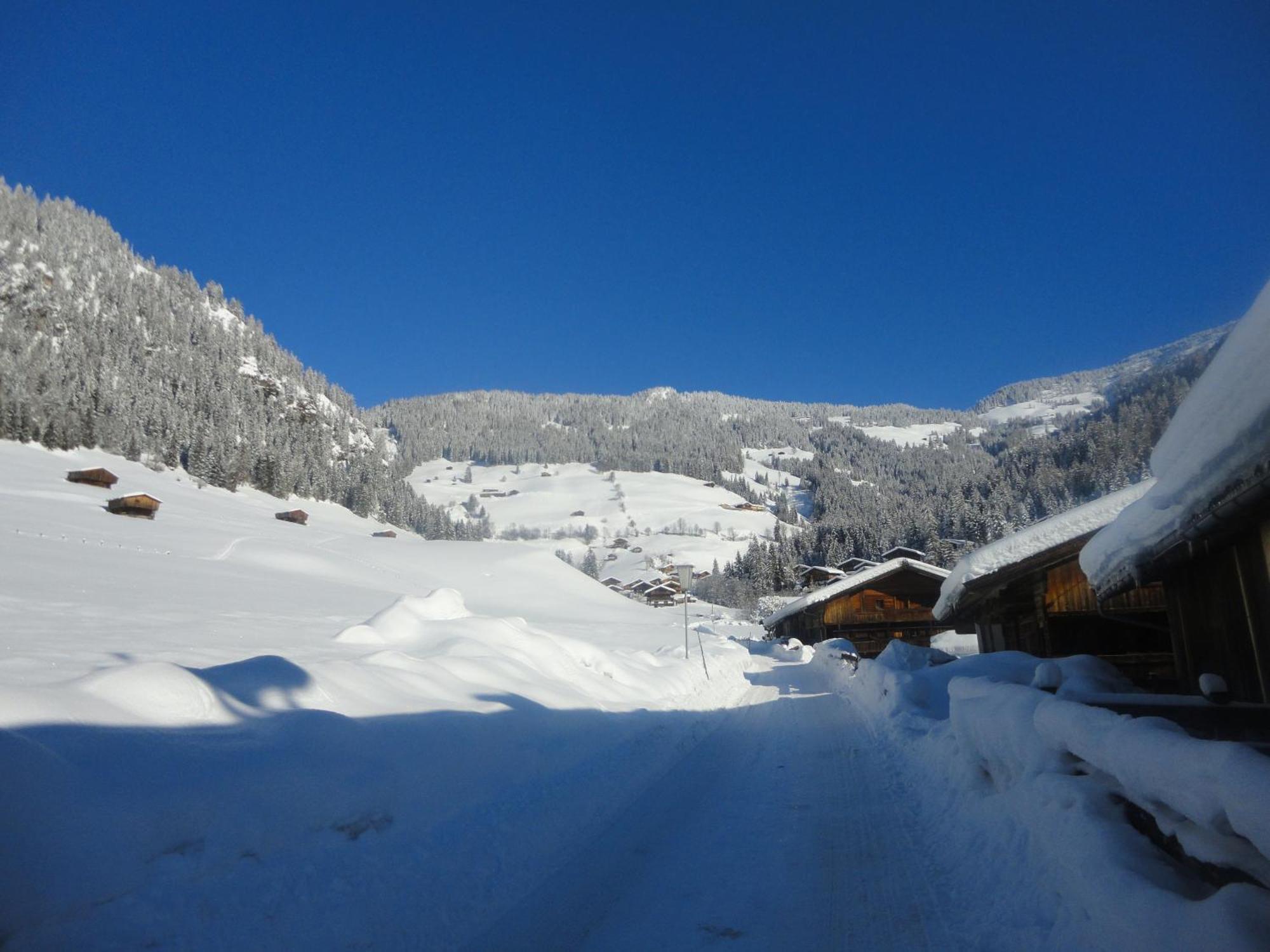 Hanslerfeld Alpbach Extérieur photo