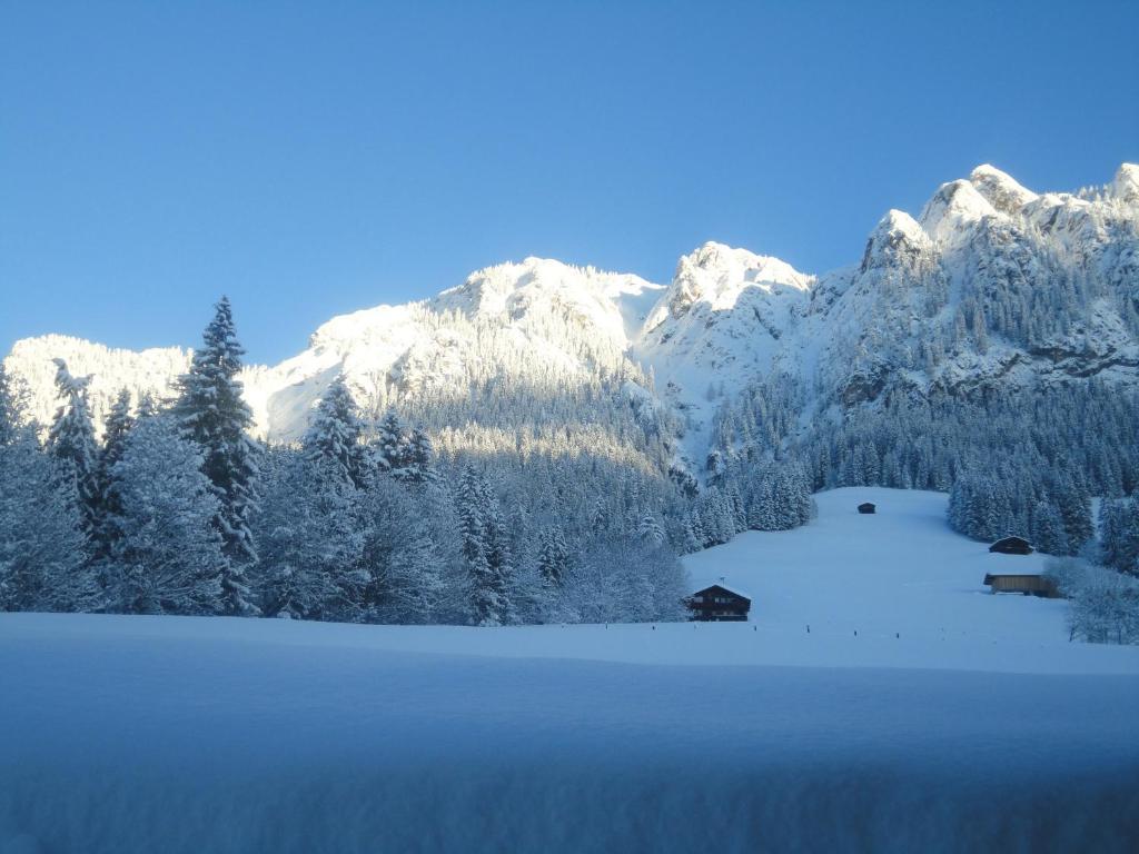 Hanslerfeld Alpbach Extérieur photo
