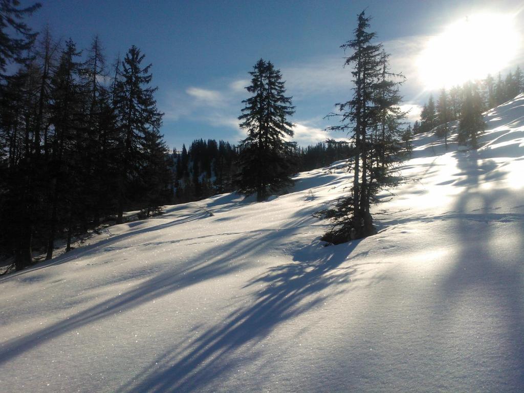 Hanslerfeld Alpbach Extérieur photo
