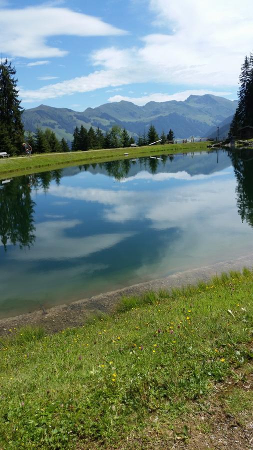 Hanslerfeld Alpbach Extérieur photo
