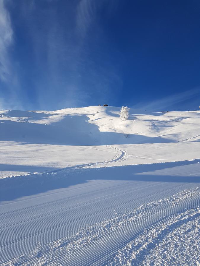 Hanslerfeld Alpbach Extérieur photo