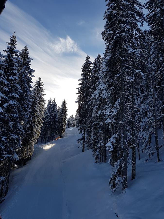 Hanslerfeld Alpbach Extérieur photo