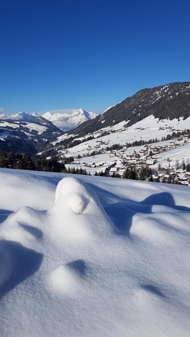 Hanslerfeld Alpbach Extérieur photo