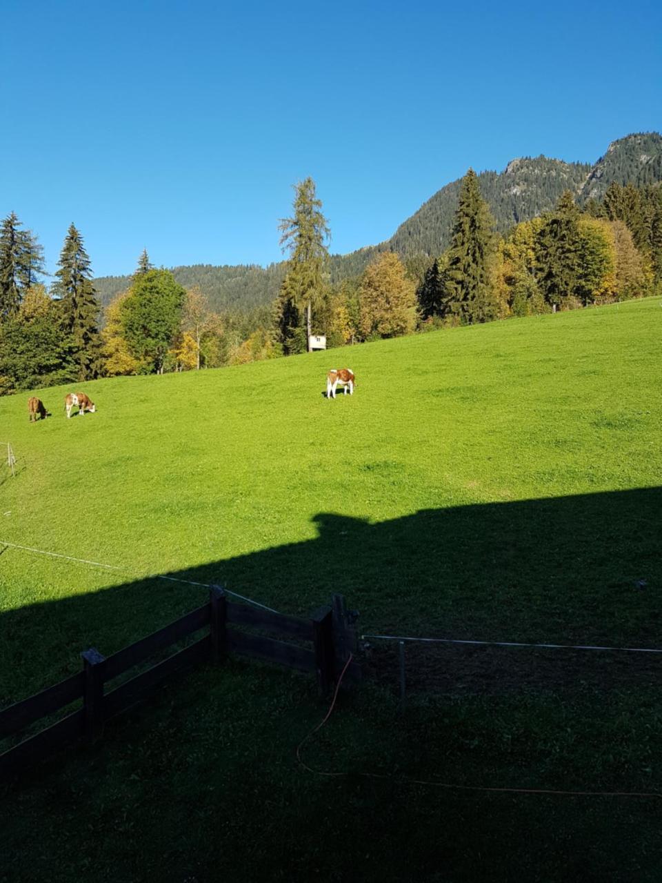Hanslerfeld Alpbach Extérieur photo