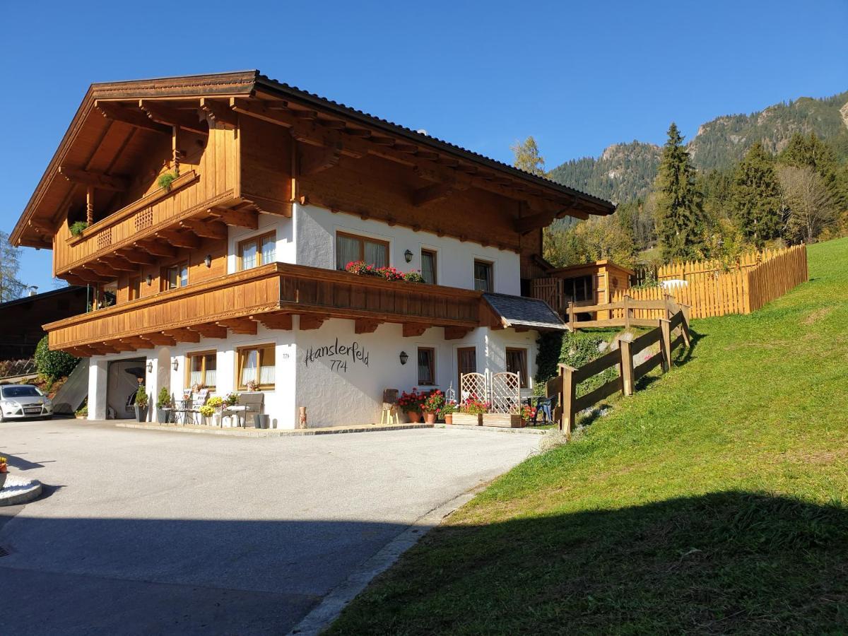 Hanslerfeld Alpbach Extérieur photo